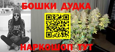 стаф Ливны